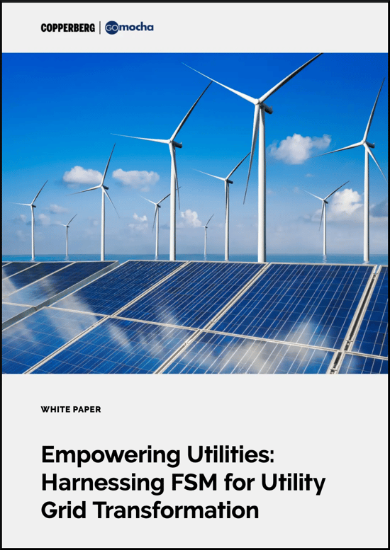 Empowering Utilities: Harnessing FSM for Utility Grid Transformation Empowering Utilities: Harnessing FSM for Utility Grid Transformation